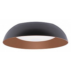 Накладной светильник loft it cappel...